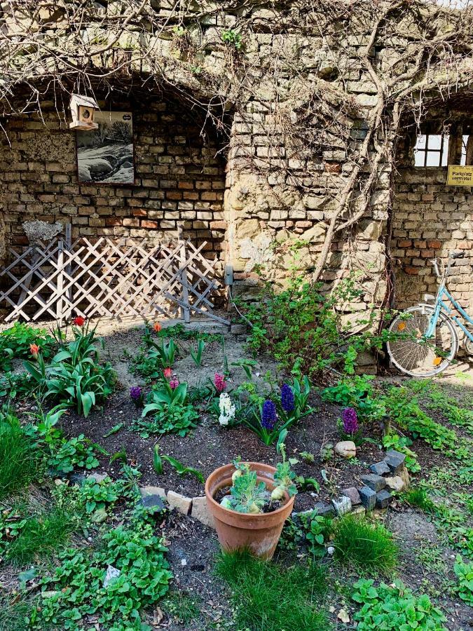 House With Courtyard & Parking Close To Stadtpark Viena Exterior foto
